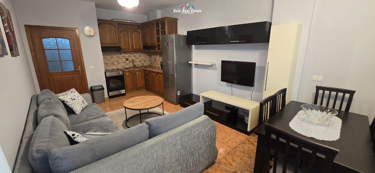 apartament-1-1-me-qera (6)