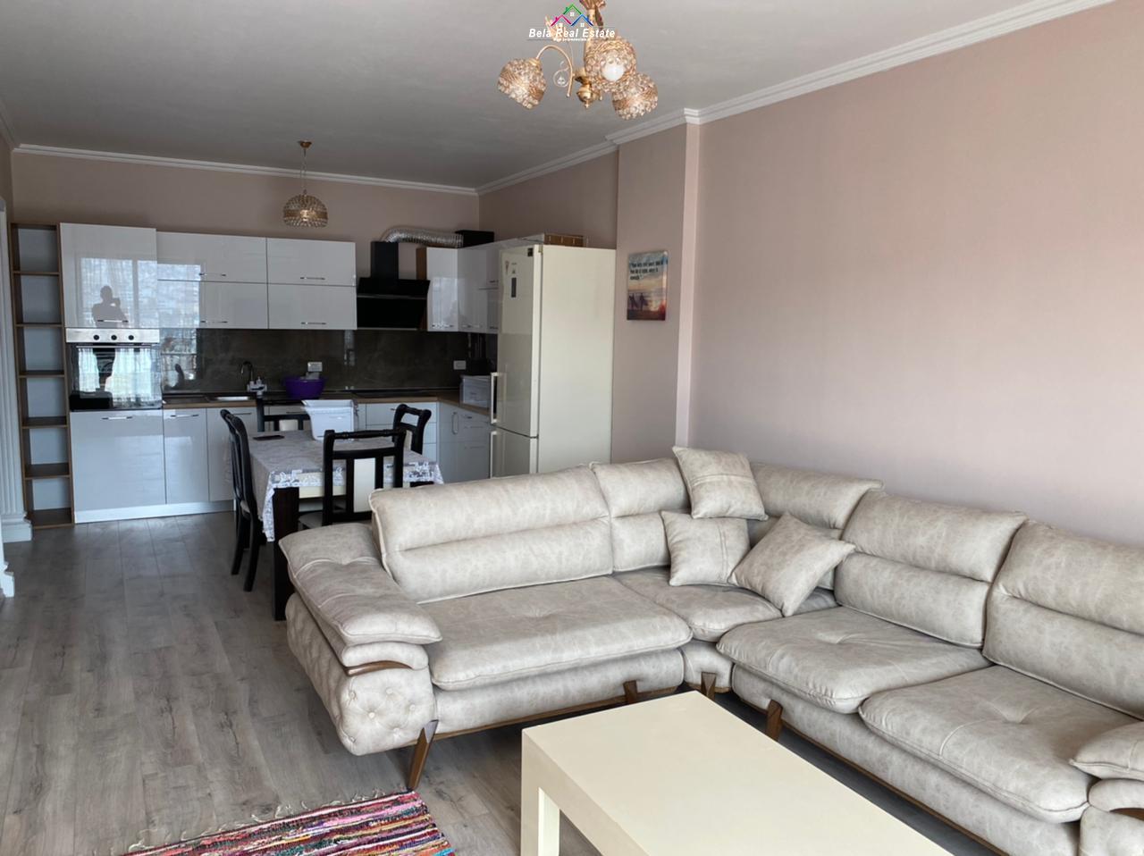 apartament-1-1-me-qera