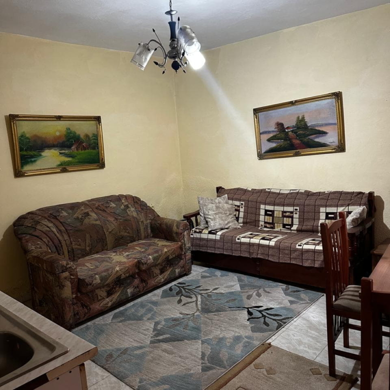 Vile me qera 1+1 tek Rruga E Elbasanit (ID BV22502) Tirane