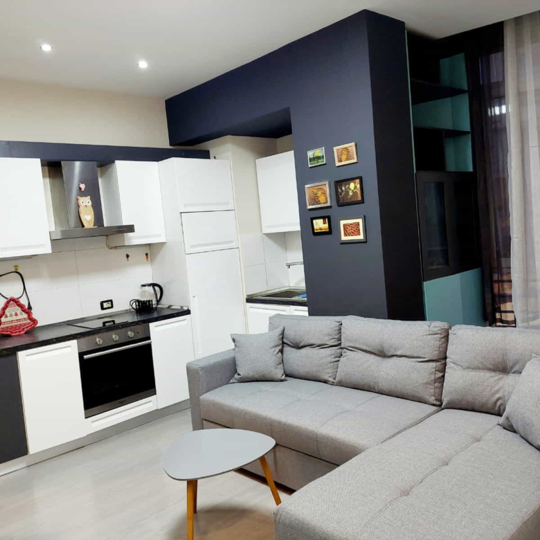 Apartament Me Qera 1+1 Tek Rruga e Elbasanit(ID B2101668) Tirane
