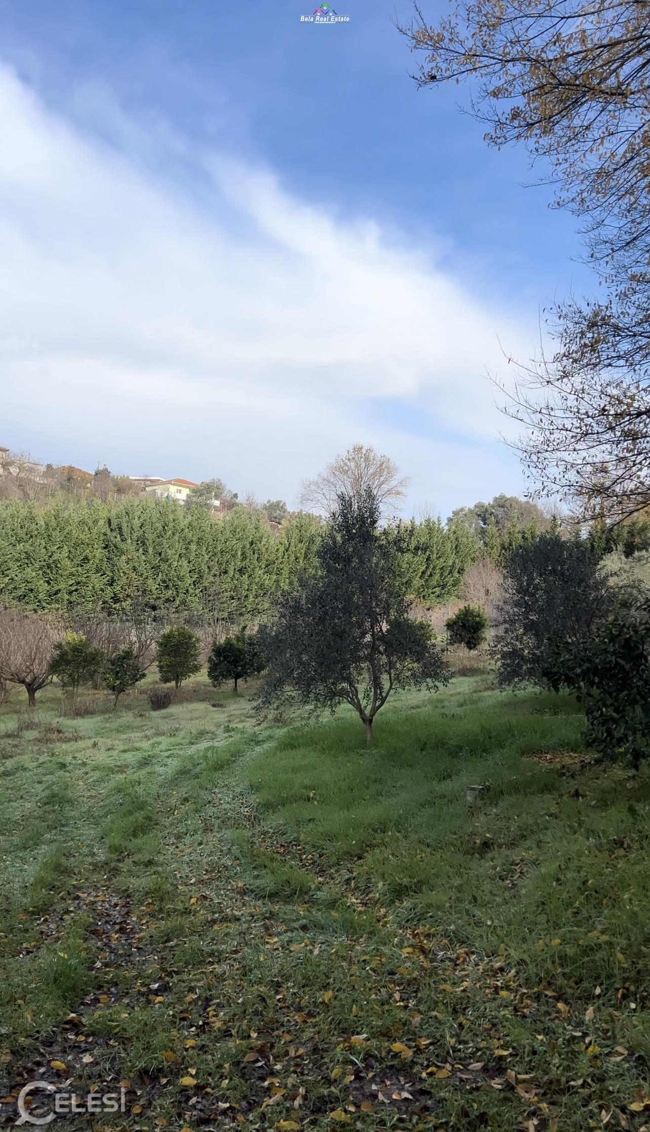 belarealestate.al