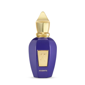Accento Xerjoff EDP 100ml unisex